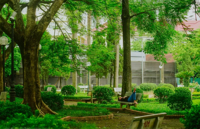 Step Away to Come Back Stronger: The Case for Volunteer Sabbaticals